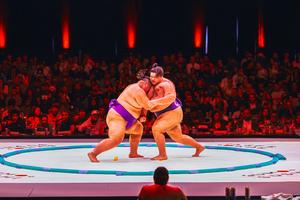Sumo + Sushi Chicago