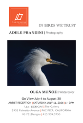 In Birds We Trust | Adele Prandini Photography Reception & SMC Bird Alliance Talk on Coastal Birds