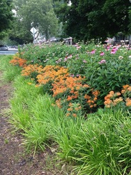 FRIENDS OF THE ROUGE OFFERS FREE RAIN GARDEN CLASS TO HELP RESIDENTS PROTECT LOCAL WATERWAYS
