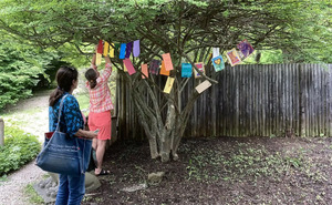 Tanabata Celebration