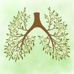 Breathing Easy: Healthy Breathing Practices for Everyday Life