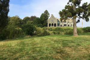 Arboretum Tour: Stonybrook