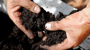 Kids @ Kinney: Vermicomposting
