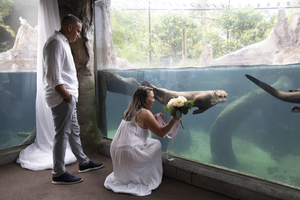 Wildly In Love Wedding Expo