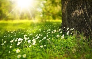 Ten Minutes to Save the Planet