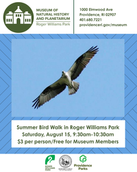 Summer Bird Walk in Roger Williams Park