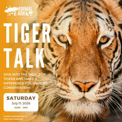 Tiger Talk at Animal Ark