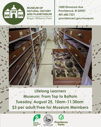 Lifelong Learners: Museum: From Top to Bottom