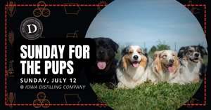 Sunday for the Pups