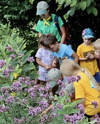 BofA Family Fun Day - Pollinators Workshop at Audubon Nature Center