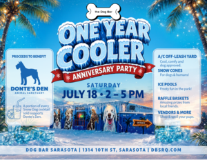One Year Cooler: Dog Bar Sarasota Anniversary Party