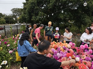 Sisterhood Gardens 10th Anniversary Party & Fundraiser