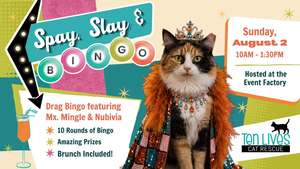 Spay, Slay & Bingo