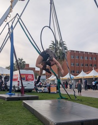 Circus Performance Camp Show