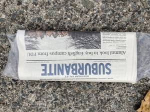 The Suburbanite Deconstructed, a photo essay by Sharon Vatsky