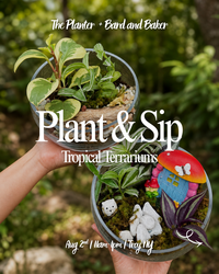 Plant and Sip: Tropical Terrariums Workshop