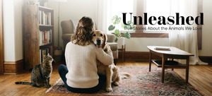 Unleashed: True Stories About the Animals We Love