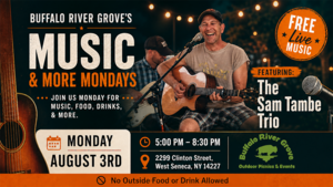 FREE Concert: Live Music by the Sam Tambe Trio at the Buffalo River Grove!