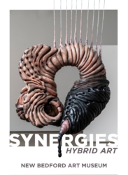 Synergies: Hybrid Art