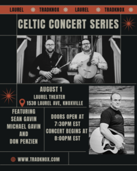 Sean and Michael Gavin with Don Penzien - Traditional Irish Music