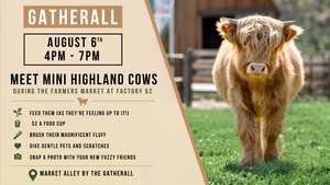 Meet Mini Highland Cows | Farmers Market at Factory 52