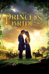 Come See THE PRINCESS BRIDE on Saturday, July 18th, 2026, At Rooftop Cinema Club