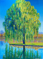 Artist Talk: Through the Shade of a Tree — Ed Pontes
