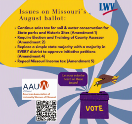 Voter Information Session