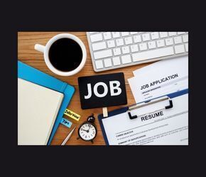 Your First Job: Navigating Employer Expectations