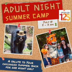 Adult Night at the Virginia Zoo! Summer Camp Edition