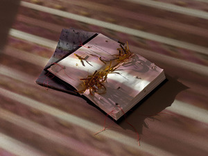 By the Book: Readings Inspired by Lotus L. Kang
