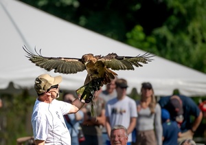 Audubon Raptor Weekend