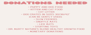 Puppies And Tox: Animal Adoption Event