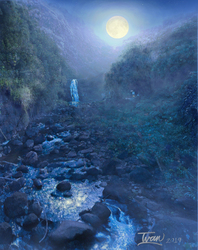 Waimea Valley's Moonwalk