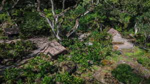 Lā Ho‘iho‘i Ea (Sovereignty Restoration Day)