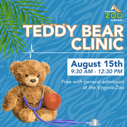 Teddy Bear Clinic