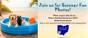 Summer Fun Photos
