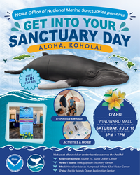 Get Into Your Sanctuary Day!