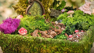 Fairy Garden in a Basket