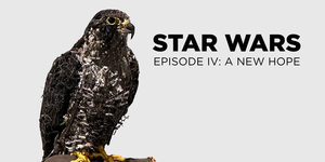 REEL TALK: FILM CLASS - Star Wars: Episode IV - A New Hope