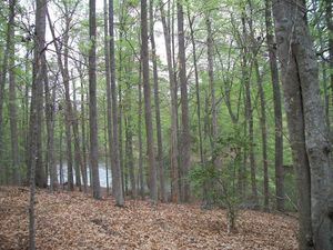 50th Anniversary Fall Forestry & Wildlife Field Tours Hanover County
