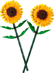 Adult Lego Botanical Build Night