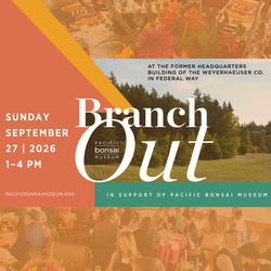 Branch Out