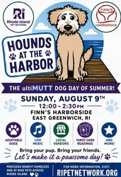 Hounds at the Harbor