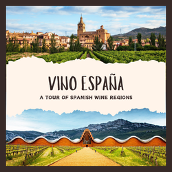 Vino España: A Grand Tour of Spanish Wine Regions
