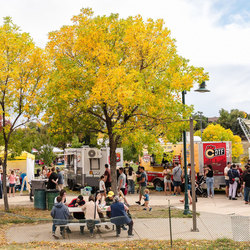 Cider Days