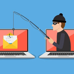 Online Shams & Scams