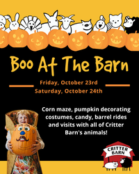 Boo at the Barn