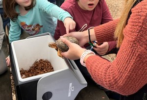 Animal Ambassador Meet n' Greet