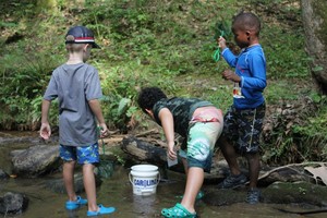 Stream Exploration